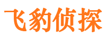 爱辉外遇出轨调查取证